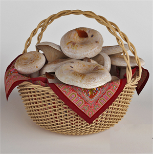 Mushrooms in a basket. White mushrooms